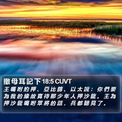 撒 母 耳 記 下 18:5 CUVT Bible Verse Image
