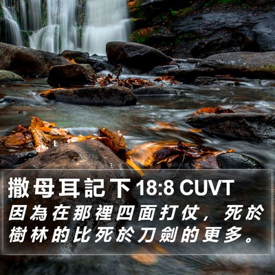 撒 母 耳 記 下 18:8 CUVT Bible Verse Image