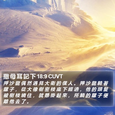 撒 母 耳 記 下 18:9 CUVT Bible Verse Image