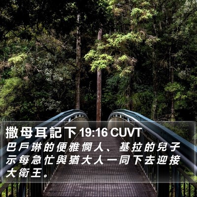 撒 母 耳 記 下 19:16 CUVT Bible Verse Image