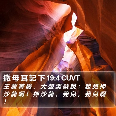 撒 母 耳 記 下 19:4 CUVT Bible Verse Image