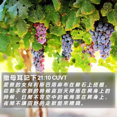 撒 母 耳 記 下 21:10 CUVT Bible Verse Image