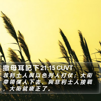 撒 母 耳 記 下 21:15 CUVT Bible Verse Image