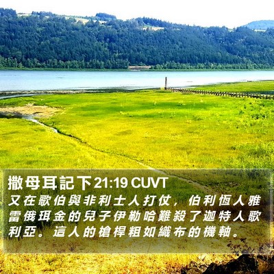 撒 母 耳 記 下 21:19 CUVT Bible Verse Image