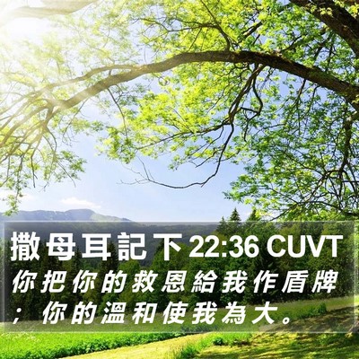 撒 母 耳 記 下 22:36 CUVT Bible Verse Image