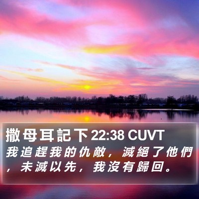 撒 母 耳 記 下 22:38 CUVT Bible Verse Image