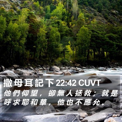 撒 母 耳 記 下 22:42 CUVT Bible Verse Image
