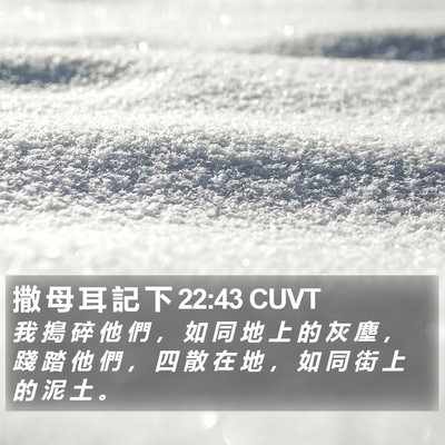 撒 母 耳 記 下 22:43 CUVT Bible Verse Image