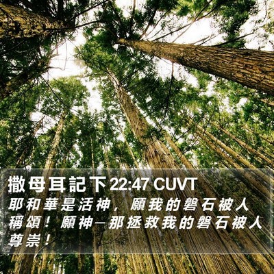 撒 母 耳 記 下 22:47 CUVT Bible Verse Image