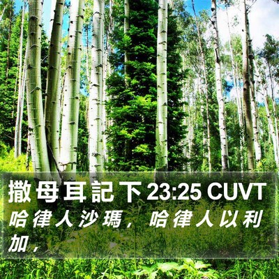撒 母 耳 記 下 23:25 CUVT Bible Verse Image