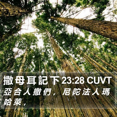 撒 母 耳 記 下 23:28 CUVT Bible Verse Image
