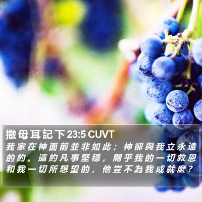 撒 母 耳 記 下 23:5 CUVT Bible Verse Image
