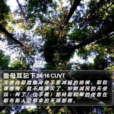 撒 母 耳 記 下 24:16 CUVT Bible Verse Image