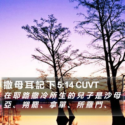 撒 母 耳 記 下 5:14 CUVT Bible Verse Image