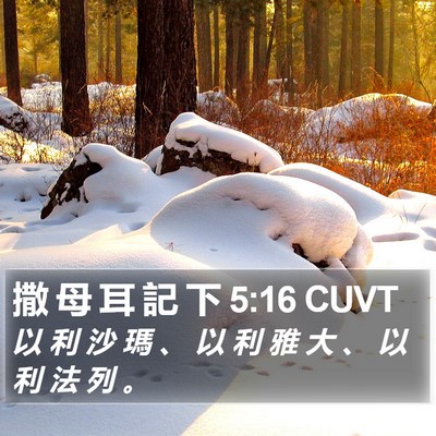 撒 母 耳 記 下 5:16 CUVT Bible Verse Image