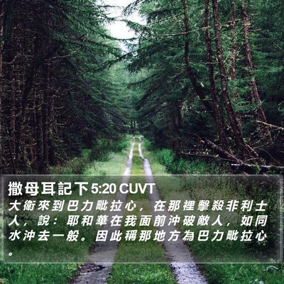撒 母 耳 記 下 5:20 CUVT Bible Verse Image