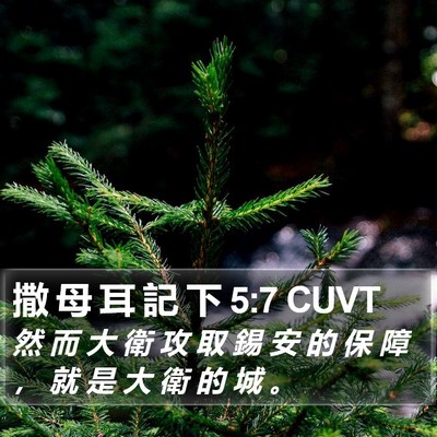 撒 母 耳 記 下 5:7 CUVT Bible Verse Image