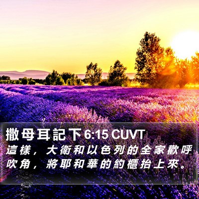撒 母 耳 記 下 6:15 CUVT Bible Verse Image