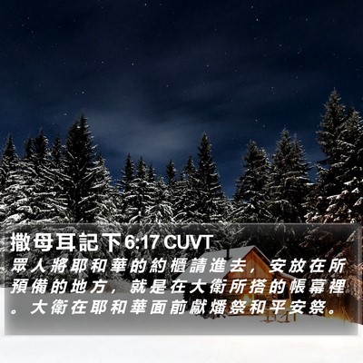 撒 母 耳 記 下 6:17 CUVT Bible Verse Image