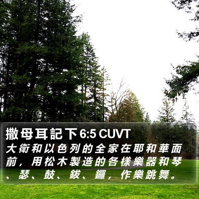 撒 母 耳 記 下 6:5 CUVT Bible Verse Image