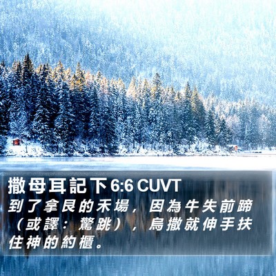 撒 母 耳 記 下 6:6 CUVT Bible Verse Image