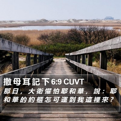 撒 母 耳 記 下 6:9 CUVT Bible Verse Image