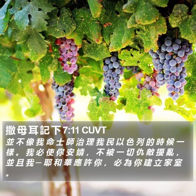 撒 母 耳 記 下 7:11 CUVT Bible Verse Image