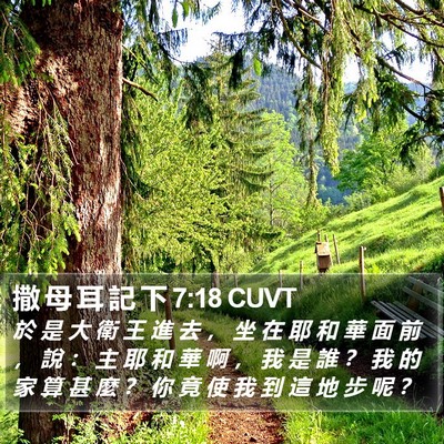撒 母 耳 記 下 7:18 CUVT Bible Verse Image