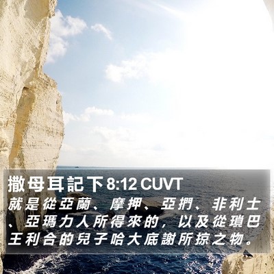 撒 母 耳 記 下 8:12 CUVT Bible Verse Image