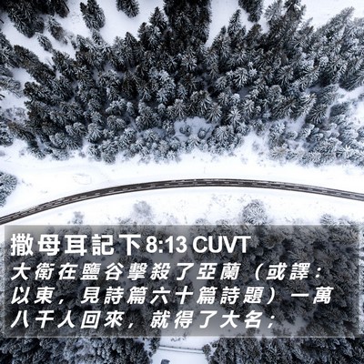 撒 母 耳 記 下 8:13 CUVT Bible Verse Image