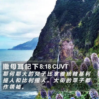 撒 母 耳 記 下 8:18 CUVT Bible Verse Image