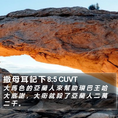 撒 母 耳 記 下 8:5 CUVT Bible Verse Image
