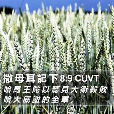 撒 母 耳 記 下 8:9 CUVT Bible Verse Image