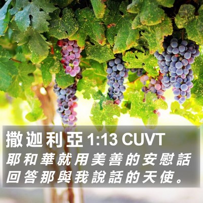 撒 迦 利 亞 1:13 CUVT Bible Verse Image