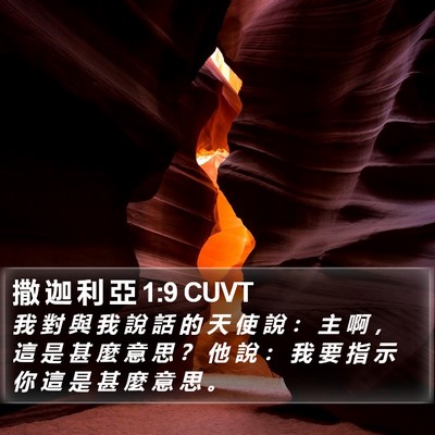 撒 迦 利 亞 1:9 CUVT Bible Verse Image