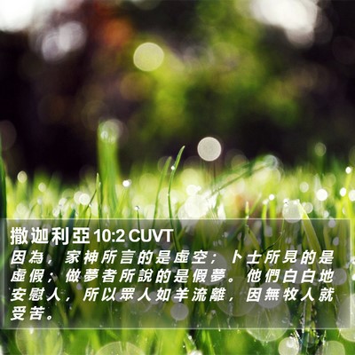 撒 迦 利 亞 10:2 CUVT Bible Verse Image