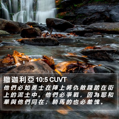 撒 迦 利 亞 10:5 CUVT Bible Verse Image