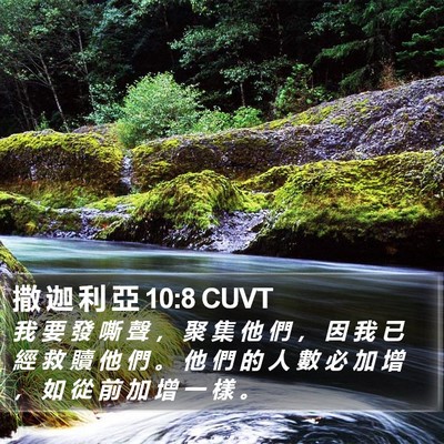 撒 迦 利 亞 10:8 CUVT Bible Verse Image