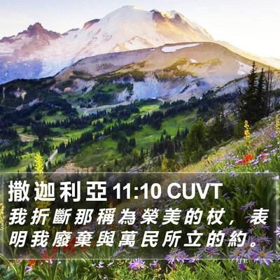 撒 迦 利 亞 11:10 CUVT Bible Verse Image