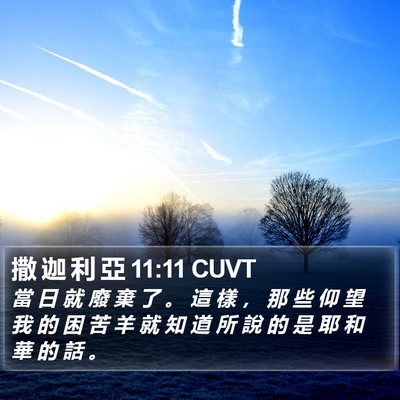撒 迦 利 亞 11:11 CUVT Bible Verse Image