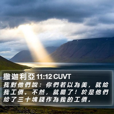 撒 迦 利 亞 11:12 CUVT Bible Verse Image