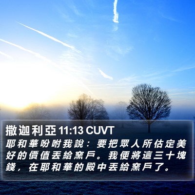 撒 迦 利 亞 11:13 CUVT Bible Verse Image