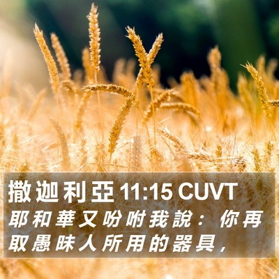 撒 迦 利 亞 11:15 CUVT Bible Verse Image