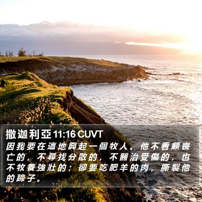 撒 迦 利 亞 11:16 CUVT Bible Verse Image