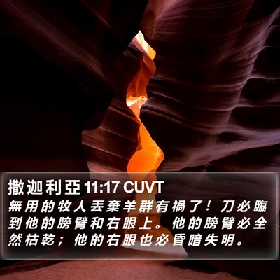 撒 迦 利 亞 11:17 CUVT Bible Verse Image