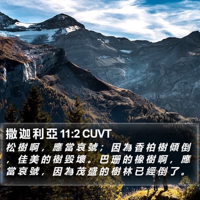 撒 迦 利 亞 11:2 CUVT Bible Verse Image
