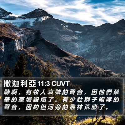 撒 迦 利 亞 11:3 CUVT Bible Verse Image