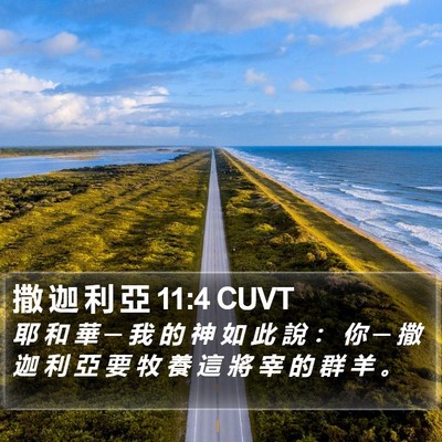 撒 迦 利 亞 11:4 CUVT Bible Verse Image