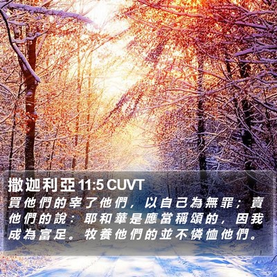撒 迦 利 亞 11:5 CUVT Bible Verse Image