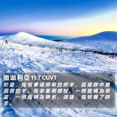 撒 迦 利 亞 11:7 CUVT Bible Verse Image